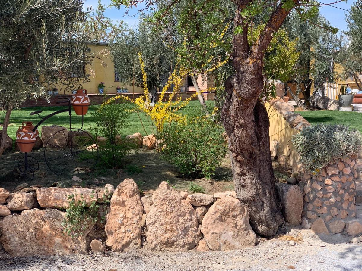 Cortijo Bustamante Guest House บาซา ภายนอก รูปภาพ