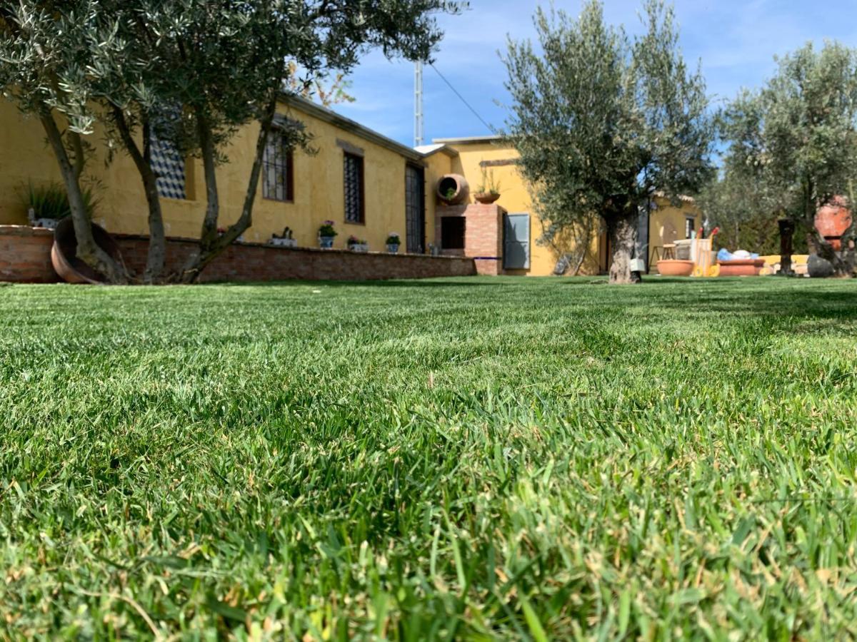 Cortijo Bustamante Guest House บาซา ภายนอก รูปภาพ