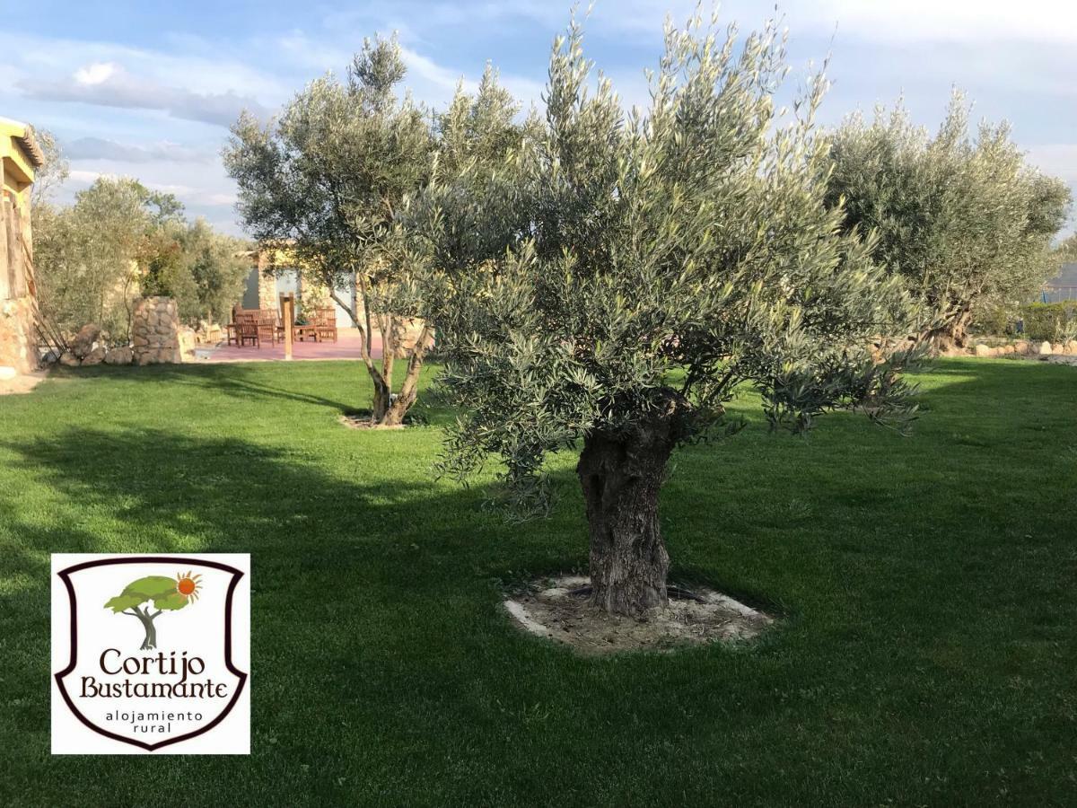 Cortijo Bustamante Guest House บาซา ภายนอก รูปภาพ