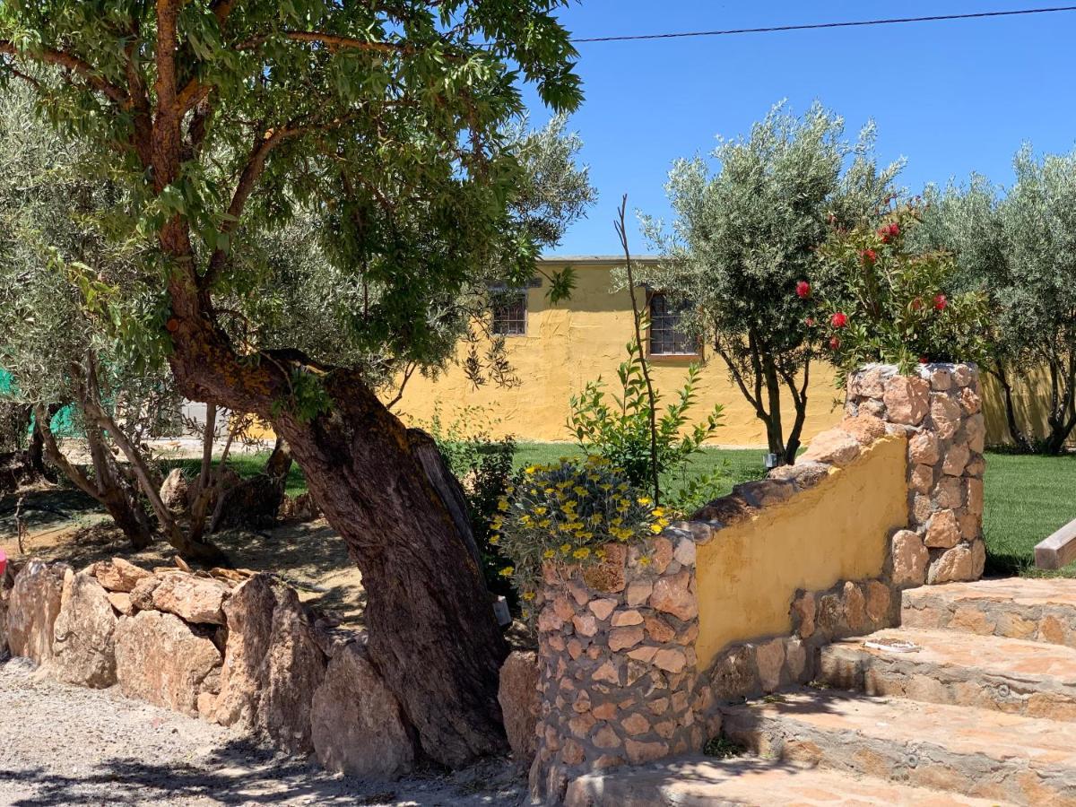 Cortijo Bustamante Guest House บาซา ภายนอก รูปภาพ